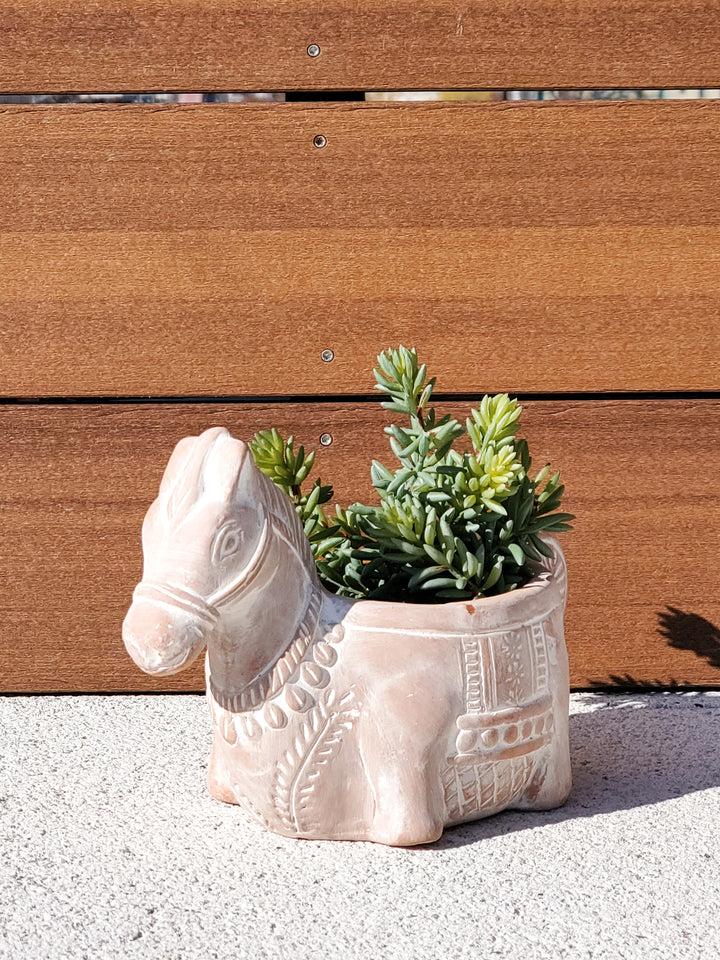 Terracotta Pot - Horse is molded into fun shapes that can be filled with lots of colorful flowers or green plant materials.