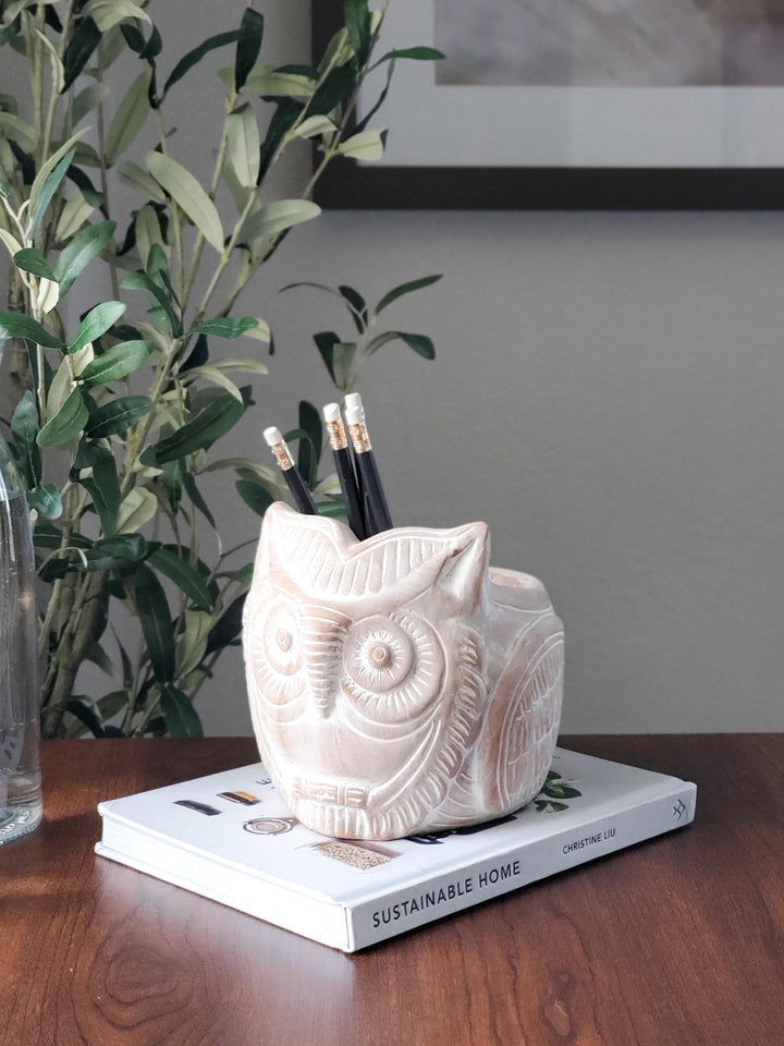 Terracotta Pot - Horned Owl is molded into fun shapes that can be filled with lots of colorful flowers or green plant materials.
